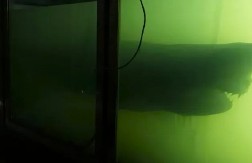 HOROR U NAPUŠTENOM ZOO VRTU Jutjuber ušao u mrak i zatekao JEZIV PRIZOR - u formalinu plutala GIGANTSKA DIVLJA ZVER! (VIDEO)