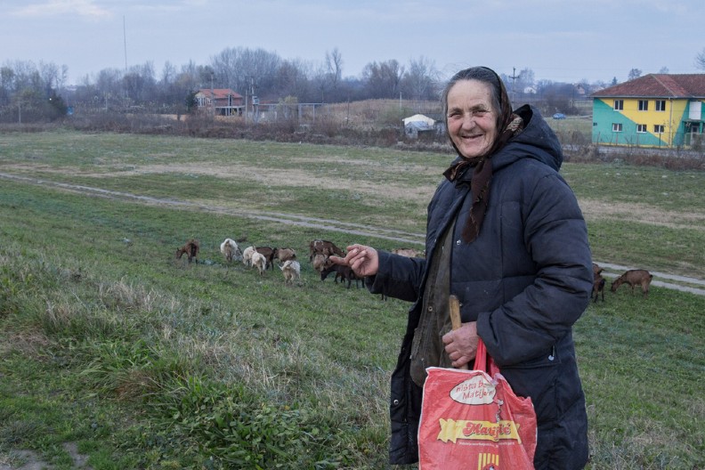 KAKO DA ZAMRZNETE KISELI KUPUS? Baka Ruža ima foru koja provereno radi, ukus ostaje isti kao da ste ga sad izvadili iz bureta