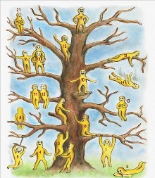 IZABERITE JEDNU OSOBU SA DRVETA Test otkriva najskrivenije osobine ličnosti - rezultat će vas iznenaditi