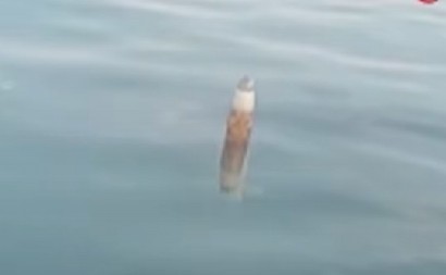 AU, ŠTA JE OVO, MAJKO MILA? Ribar na obali mora pronašao jezivi metalni objekat - obalska straža u panici! (VIDEO)