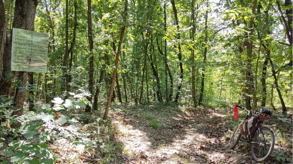 PUSTOŠILI ŠUME U OKOLINI CRNE TRAVE Policija podnela prijave protiv dva muškarca