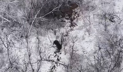 UŽASI RATA Objavljeni novi snimci borbe prsa u prsa, Rusi bez milosti u Donjecku (VIDEO)