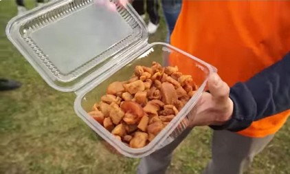 I KOD NAS SU SKUPI, A TEK U MAĐARSKOJ Kao da je zlato, a ne čvarci