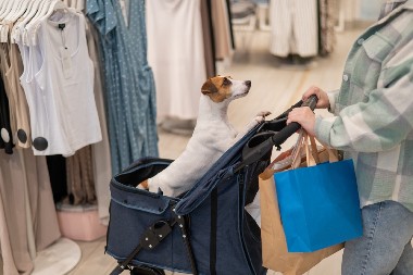 DEMOGRAFSKA KRIZA U Južnoj Koreji umesto dečjih, rast prodaja kolica za pse