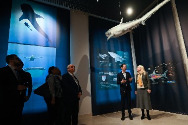 Ministarka, dr Jelena Begović, sa svojim timom iz Ministarstva nauke, tehnološkog razvoja i inovacija, obišla je Palatu nauke u Beogradu.