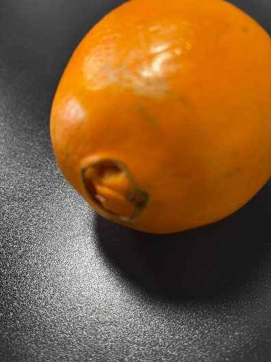 AKO POMORANDŽA IMA OVO, ONDA JE SIGURNO SOČNA! Nemojte je stiskati pustiće sve vitamine! (FOTO)