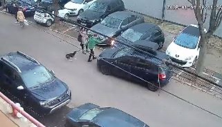 ŽESTOK OKRŠAJ KOMŠINICA NA ZVEZDARI! Automobilom se zaletala - žena sa kučetom počela da beži! (VIDEO)