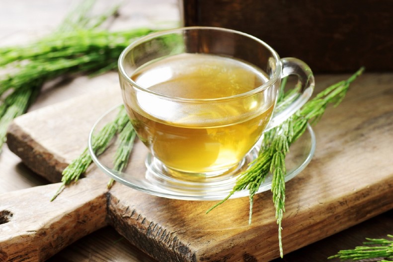 PRIRODNI LEK ZA ZDRAVLJE I VITALNOST Zašto origano treba da bude deo svakodnevne organske medicine?