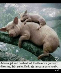 KO JE REKAO DA SU PRAZNICI GOTOVI? Mama prasica ima plan!