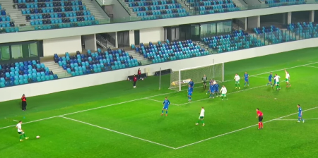 OVAKO NEŠTO SE NE VIĐA ČESTO Kakva golčina u Loznici (VIDEO)