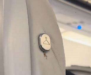 DUGME KOJE ZBUNJUJE PUTNIKE U AVIONU Niko ne zna čemu služi - iznenadićete se, ovo vam ne bi palo na pamet