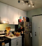 HIT NA INTERNETU Ako pronađete mačku na slici imate visoku logičku inteligenciju