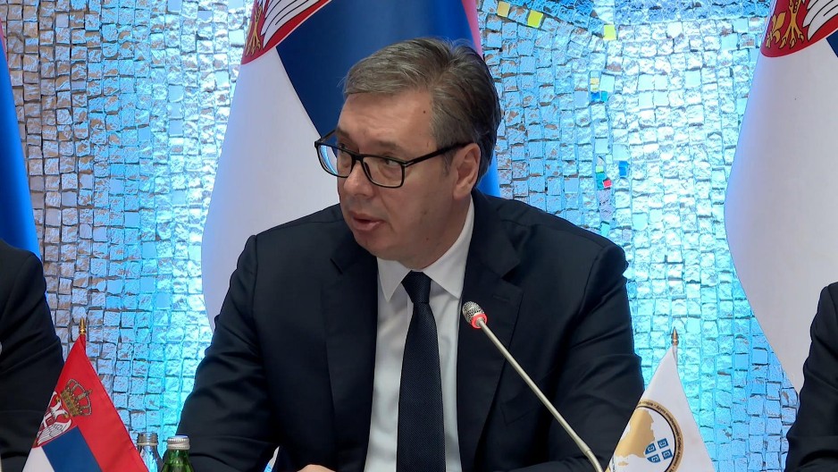 "U AFRICI VIDIMO BRATSKE NARODE" Vučić: Ako se mreža pauka udruži može da uhvati lava (VIDEO)