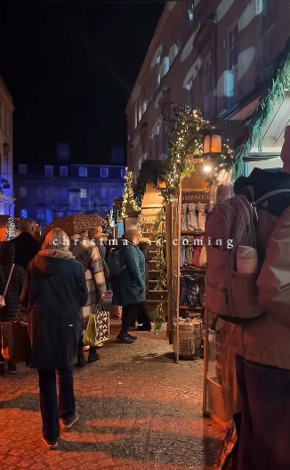 "NAGURANI SMO KAO SARDINE" Najpopularniji božićni sajam je u stvari pravi pakao, situacija je potpuno drugačija nego što predstavljaju (VIDEO)