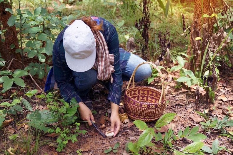 Mi ih i ne podižemo sa zemlje, dok Kinezi za njih daju 80 evra