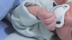 IZ BLATA JE VIRILO NEŠTO POPUT GRANČICE Čovek je prišao, a onda je usledio ŠOK