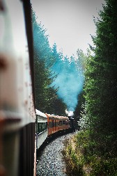 VIC DANA Vozili se vozom Amerikanac i Bosanac...