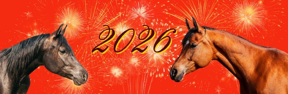 KINESKI HOROSKOP ZA 2026. DONOSI VELIKU PREKRETNICU Crveni vatreni Konj menja pravila igre – evo šta vas očekuje