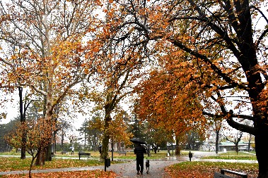 OVAKAV DECEMBAR SRBI NE PAMTE! Evo kakvo nas vreme čeka sutra, RHMZ upozorio na ovu pojavu!