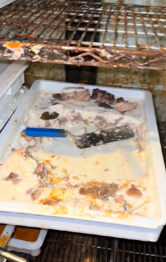 VIDEO OD KOG ĆE VAM SE POVRAĆATI Žena snimila kako izgleda ostava poznatog restorana, ljudi na mrežama šokirani (VIDEO)