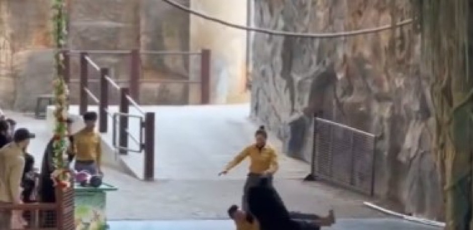 HOROR U ZOO VRTU Pobesneli divlji monstrum ŠČEPAO ČUVARA za ra ruku i oborio ga na zemlju - publika mislila da je sve deo predstave! (VIDEO)