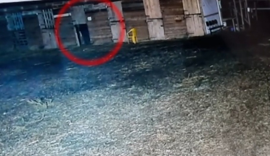 SIPAO KONJIMA KISELINU U USTA! Monstruma snimila sigurnosna kamera, nije mu prvi put (VIDEO)