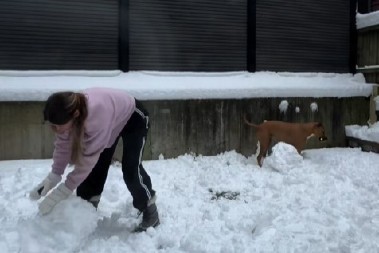 SRCE PUCA OD SLATKOĆE! Pas Nala uništila sneška i rasplakala vlasnike – SNIMAK ODUŠEVIO CEO SVET! (VIDEO)