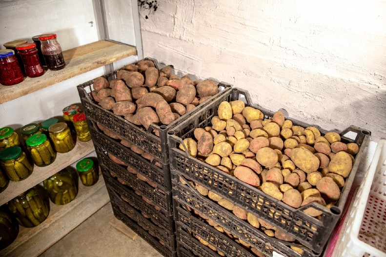 NI SLUČAJNO GA NE JEDITE Jedan detalj otkriva da li se u krompiru nalaze pesticidi