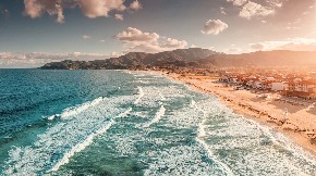 JEZIVO OTKRIĆE NA PLAŽI More izbacilo STVORENJE koje niko nikada nije video – naučnici u šoku! (FOTO)