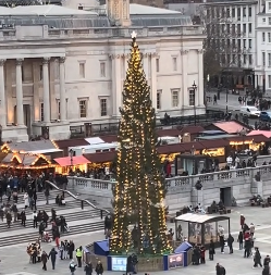 "SMEŠNA JE, IZGLEDA KAO MRTVI KAKTUS"  Novogodišnja jelka u Londonu izazvala buru komentara na mrežama - ljudi su baš razočarani