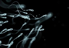 SKANDAL KOJI TRESE EVROPU: Donor preneo gen za rak na 197 dece – mutirana sperma stigla i u Srbiju!