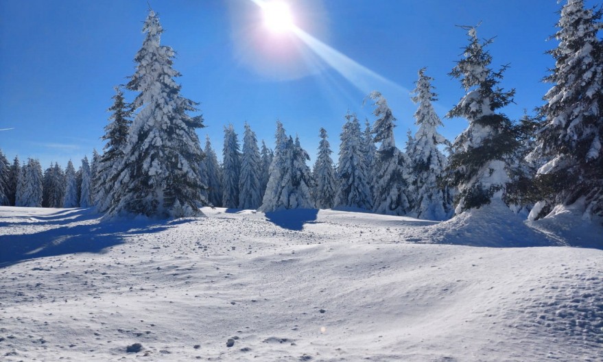 Srpska planina o kojoj svi pričaju – netaknuta priroda, cene od 30 evra i prava bajka zimi