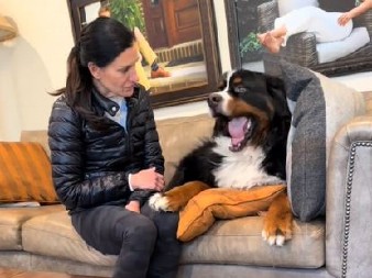 URNEBESNA SVAĐA PSA I VLASNICE DOK ONA IZLAZI TikTok video koji je nasmejao sve