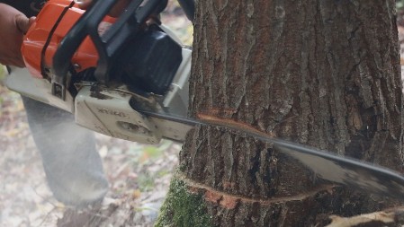 UPAO U DRŽAVNU ŠUMU, PA NASEKAO 10 KUBIKA! Podignuta krivična prijava, policija u strugari pronašla OVO