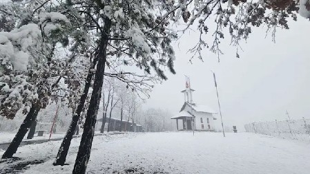 SRBI SLAVE VELIKOG SVETITELJA Da se ne ogrešite o običaje, jedna stvar je danas OBAVEZNA