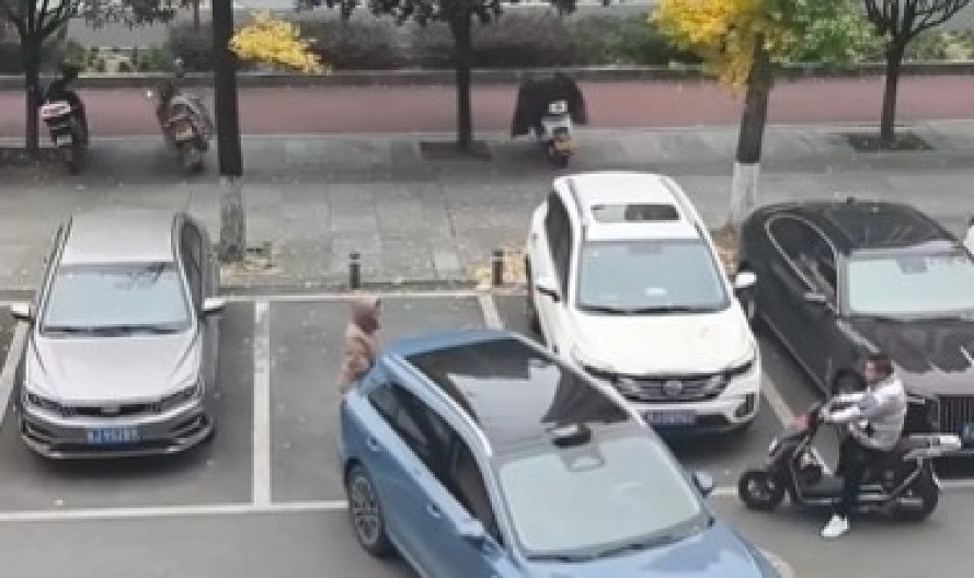GENIJALNO ILI BEZOBRAZNO? Snimak drame na parkingu zapalio mreže, vozač povukao NEZAMISLIV POTEZ, žena ostala ukopana od šoka! (VIDEO)