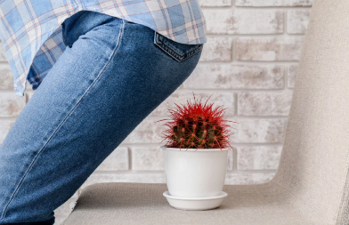 JEDNA SLAVSKA NAMIRNICA REŠAVA PROBLEME SA HEMORIODIMA I NE SAMO TO... Uzmite samo 100 grama ovoga i stomak će vam biti zahvalan
