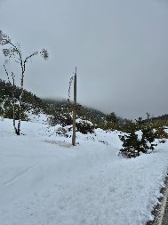 ZATVARAJU SE ŠKOLE, LJUDI SPREMAJU ZALIHE U Evropi je OPŠTA PANIKA zbog hladnoće koja stiže u Srbiju