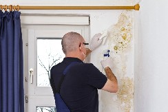 OVDE MNOGI GREŠE Evo zašto vam se pojavljuju vlaga i buđ iako ste stavili novu stolariju