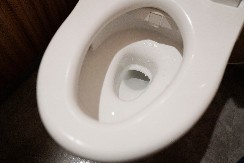 Ne košta ni 50 dinara, a čisti kao naskuplja i štetna hemikalija: WC šolja se od ovoga sija, dodajte ovo uveče i ujutru ćete zateći sve čisto