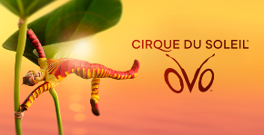 NOVOGODIŠNJA ČAROLIJA UZ CIRQUE DU SOLEIL 20 odsto popusta na predstavu „OVO“