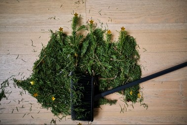 KUĆA VAM JE U HAOSU ZBOG IGLICA OD JELKE? Ovaj jednostavan trik spašava i tepih i živce! 