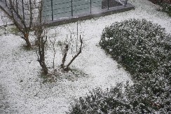 OD DANAS JAČAJU PADAVINE: Meteorolog otkrio kada će pasti sneg i kakvo nas vreme očekuje u januaru