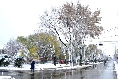 SNEŽNA ZVER STIGLA IZ HRVATSKE Ovi delovi Srbije PRVI NA UDARU NOVOG LEDENOG TALASA