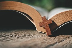 KAKO NAS IZREKA „NE BACAJ BISERE PRED SVINJE“ UČI O MUDROSTI Zašto je važno birati kome poveravamo svoja osećanja i ideje?