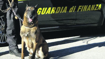 PAS RASKRINKAO SPRSKOG DILERA U ITALIJI Nakon njega je nanjušio ženu koja je progutala KONDOME SA HEROINOM! (FOTO+VIDEO)