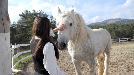 STIŽU ČETIRI RASNA KONJA NA KRAGUJEVAČKI HIPODROM Lepe vesti nakon tragedije kada su uginule jadne životinje