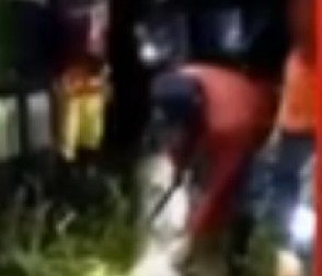 FARMERA PEKU NAPAO I PROGUTAO DŽINOVSKI PREDATOR Kad su pronašli jadnog čoveka, od prizora im se zaledila krv u žilama! (VIDEO)