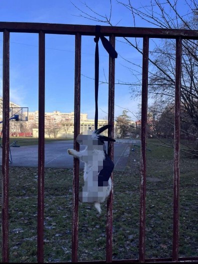 NA SVAKI NAČIN ŽELE DA ZASTRAŠE I SPREČE DECU DA POHAĐAJU ŠKOLU! Na Savindan mališane na Limanu umesto smeha dočekao PAKAO!