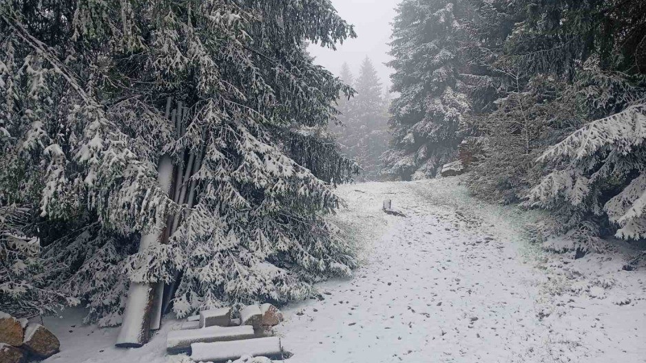 PRETI IM ROBIJA ZBOG SANKANJA NA PUTU Jedan kolima vukao tinejdžerke na sankama, a drugi ih pregazio autom
